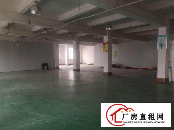  原房东！寮步向西独门独院二楼800平，带地坪漆精装修现成办公