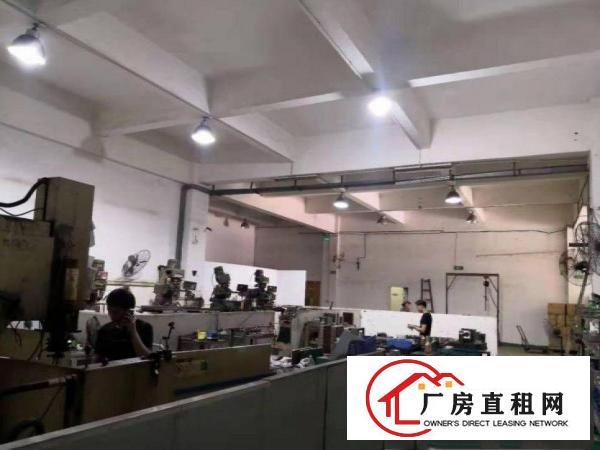  下朗即将空出1楼厂房650平，带装修，水电齐全