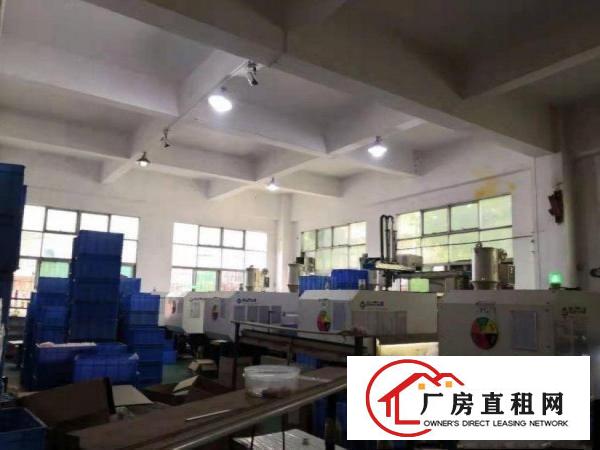 下朗即将空出1楼厂房650平，带装修，水电齐全