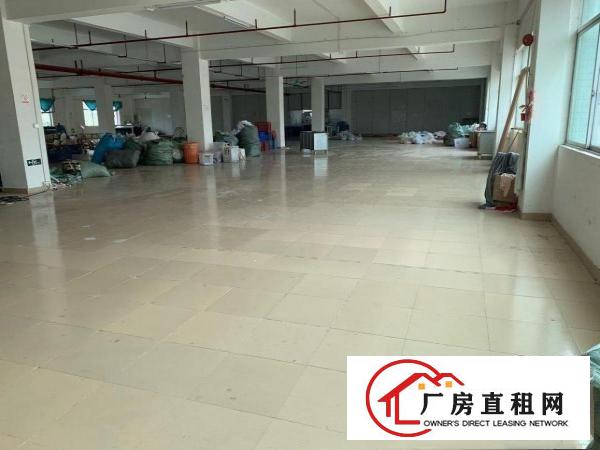  茶山塘角工业区带现成制衣线路