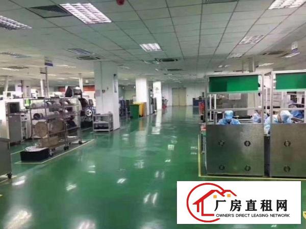  茶山大型工业园花园式独院厂房出租