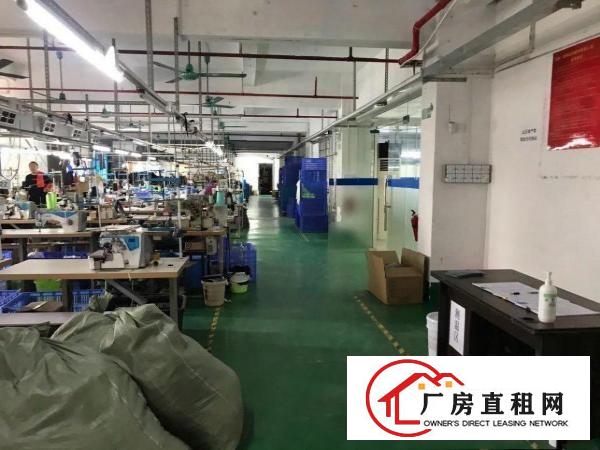  原房东独门独院26840平方
