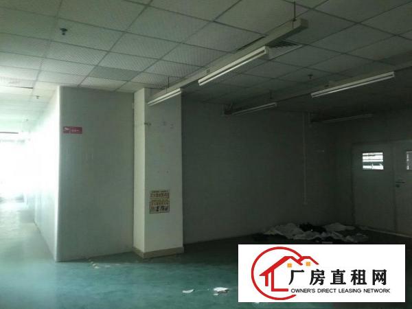  原房东独门独院26840平方