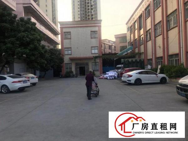  原房东独门独院厂房面积5800