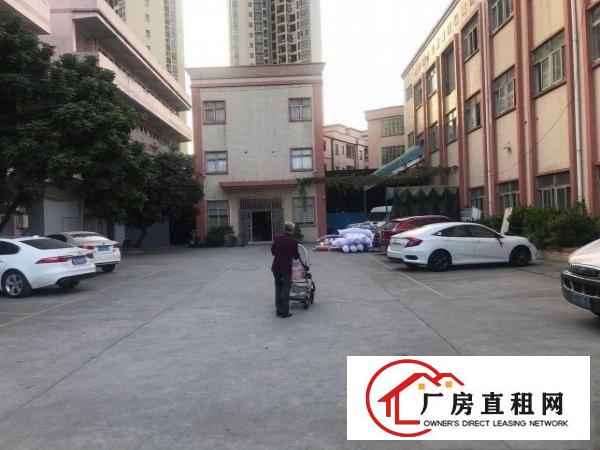  原房东独门独院厂房面积5800