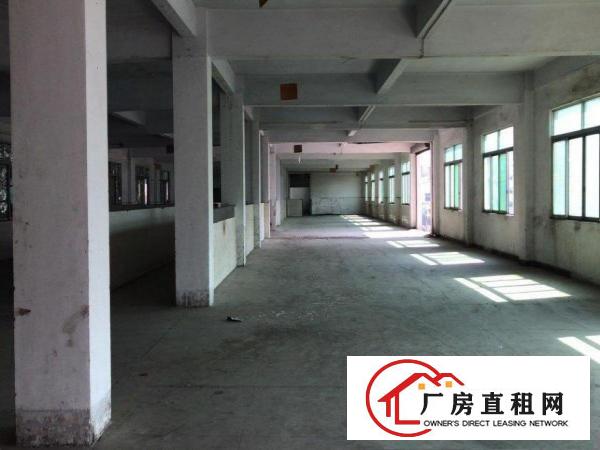  原房东独门独院厂房面积5800