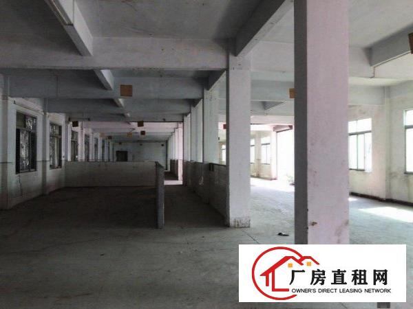  原房东独门独院厂房面积5800