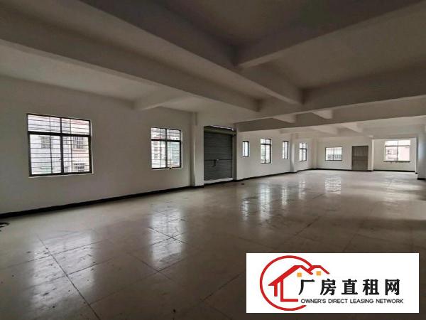  茶山镇小型厂房办公楼原房东出租