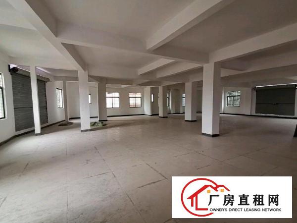  茶山镇小型厂房办公楼原房东出租
