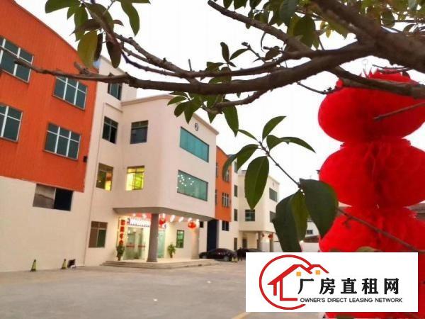  茶山镇南社《大湾区亿万产业园》招租