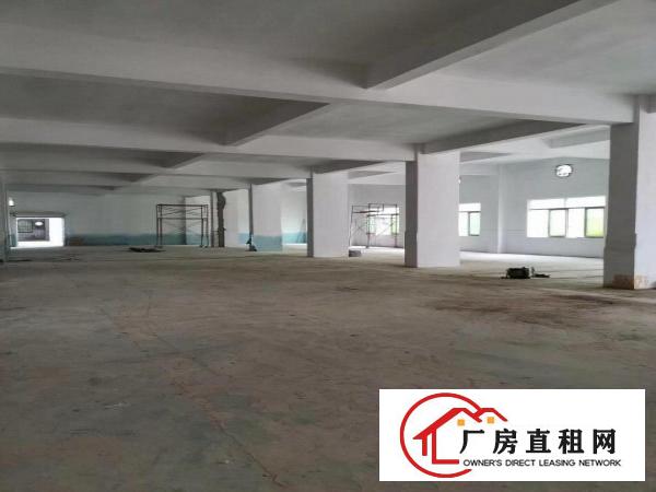  茶山镇南社《大湾区亿万产业园》招租