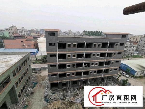  独院带红本厂房出租交通便利形象好