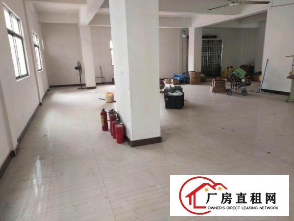  私人自建厂房出租适合轻工业
