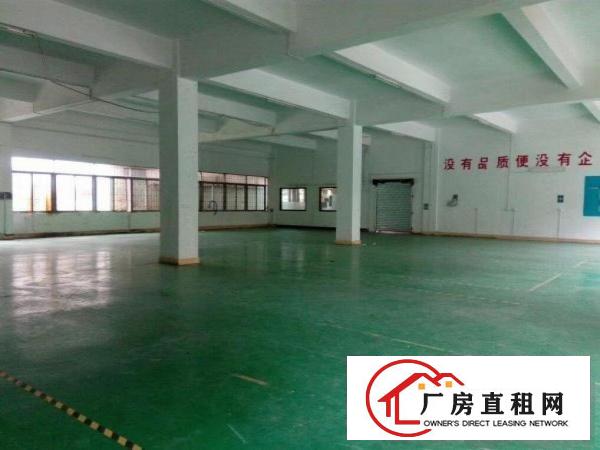  茶山镇原房东气派花园式厂房一楼1500㎡