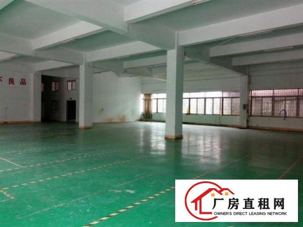  茶山镇原房东气派花园式厂房一楼1500㎡