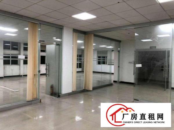  茶山卢边现成贸易办公室车间出租10元平方带电梯