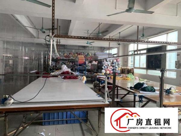  塘角原房东现成制衣车间11元出租2400平方无管理费