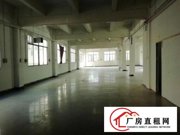  茶山增埗原房东2000㎡厂房带装修办公室出租