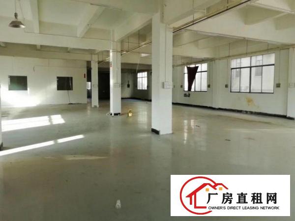  茶山增埗原房东2000㎡厂房带装修办公室出租