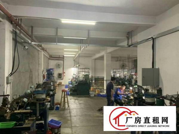  寒溪水新出一楼带装修580平方米厂房出租