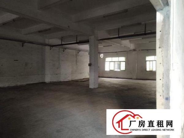  下朗标准厂房一楼1470平方带装修出租电费便宜可开票