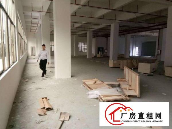  塘角一楼厂房出租850平米，可办环评，水电齐全