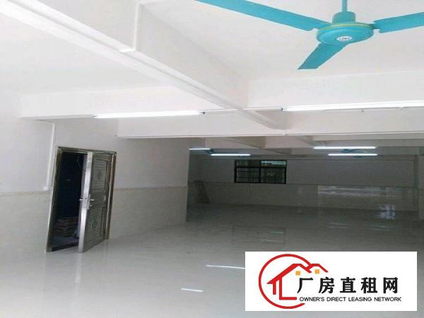  一楼招租，适用工厂超市仓储教育