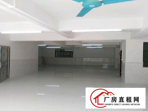  一楼招租，适用工厂超市仓储教育