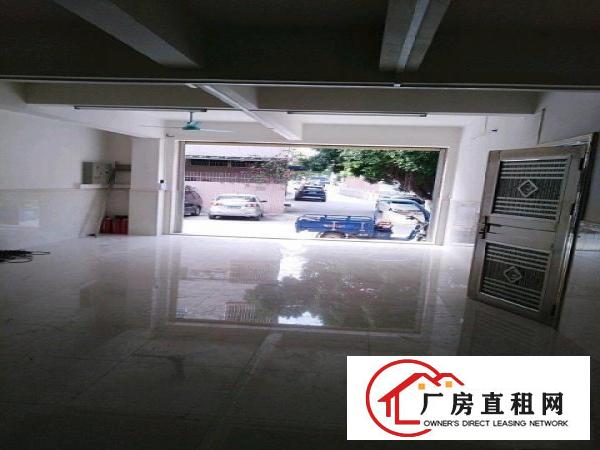  一楼招租，适用工厂超市仓储教育