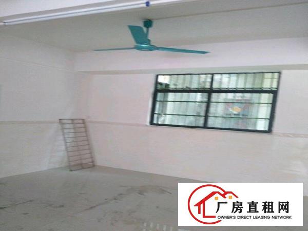  一楼招租，适用工厂超市仓储教育