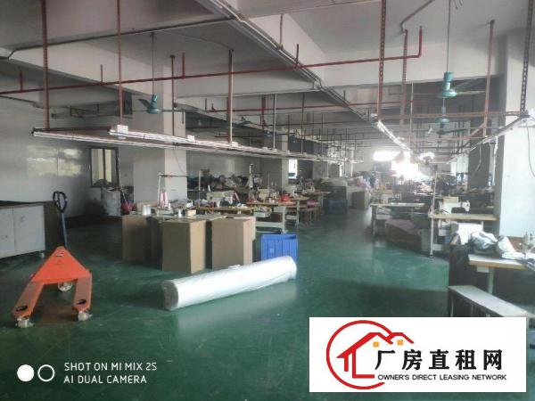  水电办公齐全，制衣灯架，适合手袋玩具制衣等轻工业