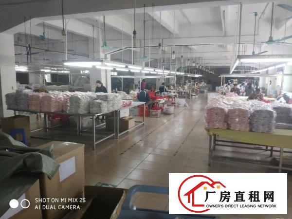  水电办公齐全，制衣灯架，适合手袋玩具制衣等轻工业