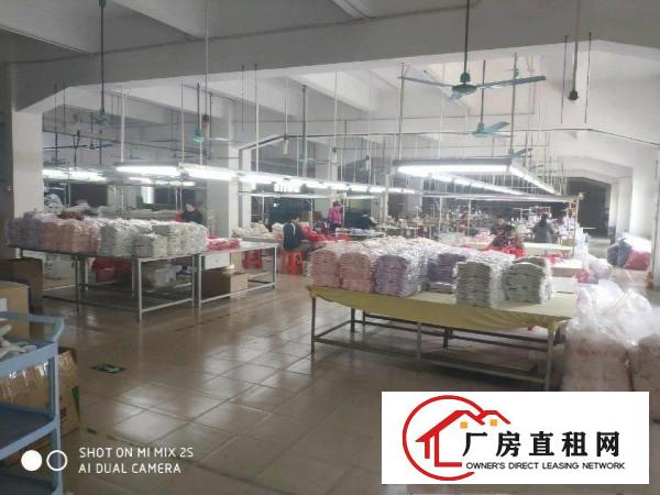  独门独院，水电办公齐全，现成灯架
