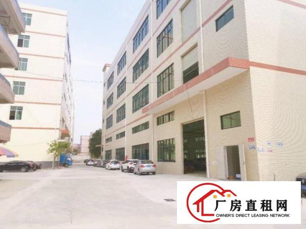  茶山镇高端重工业厂房自重带环评首层七米