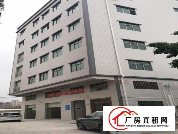  茶山生态园大道综合市场仓库/厂房/商办300平米