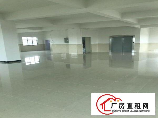  茶山生态园大道综合市场仓库/厂房/商办300平米