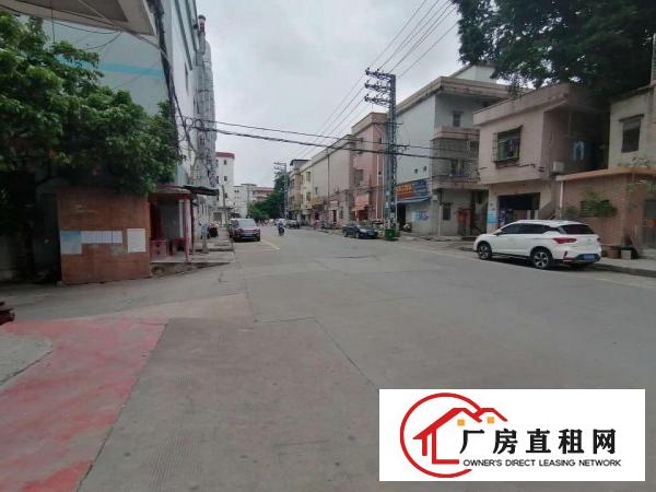  出租茶山标准厂房价格好马路旁厂房地皮一手房二手房出租买卖