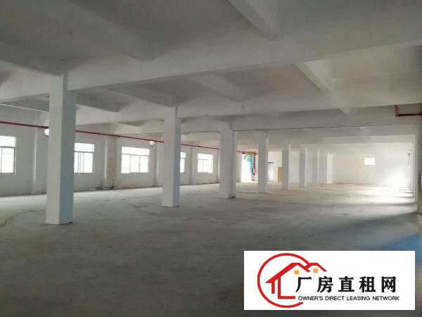  出租茶山标准厂房价格好马路旁厂房地皮一手房二手房出租买卖