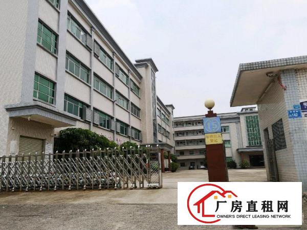  茶山镇电子厂分租2-4楼