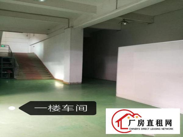  茶山镇电子厂分租2-4楼