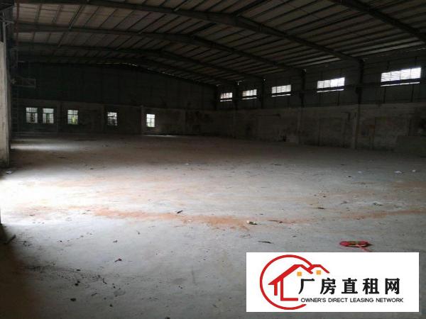  茶山镇独院钢构厂房出租