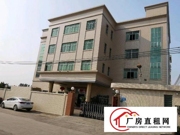  茶山原房东独院厂房出租