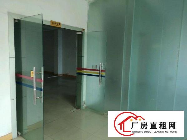  茶山镇东部快速干线独院厂房出租