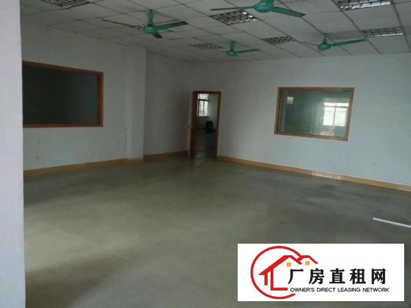  茶山镇东部快速干线独院厂房出租