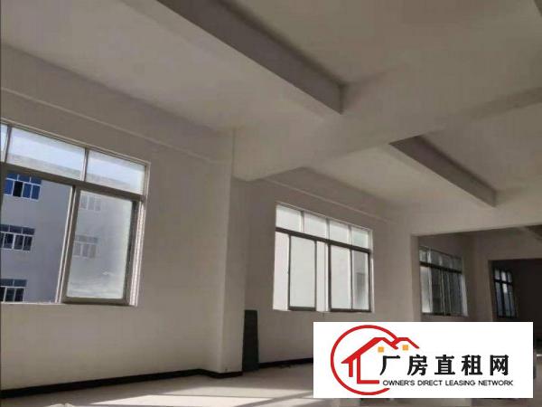  下朗精品厂房出租，小户型450平，格局方正，还是独栋