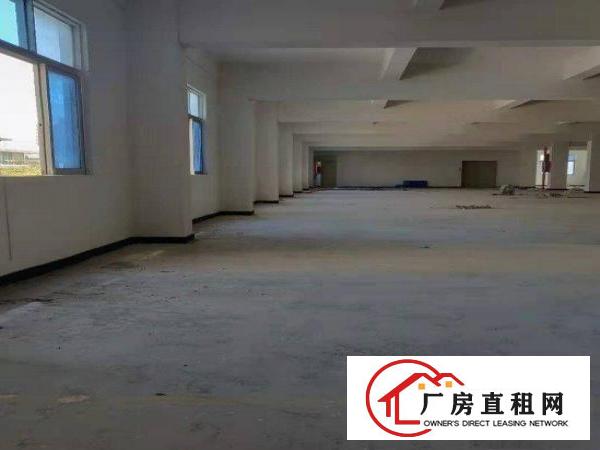  下朗精品厂房出租，小户型450平，格局方正，还是独栋
