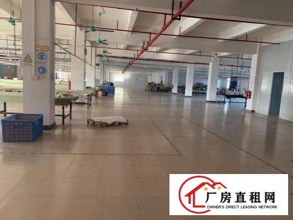  独院厂房建筑5500平性使用业主包过户