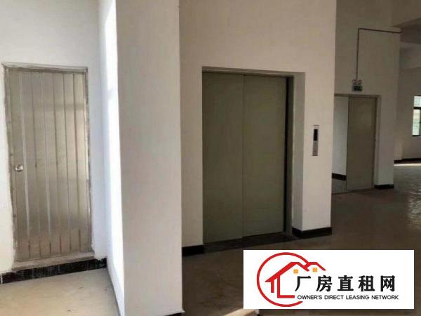  独院厂房建筑5500平性使用业主包过户