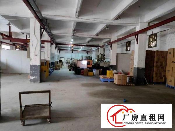  茶山圩刚空出1310平一楼标准厂房，原房东现成装修配置