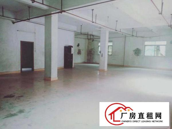  茶山横江独栋小厂房，合适做制衣玩具。